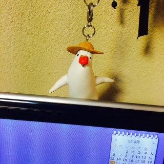 �p������